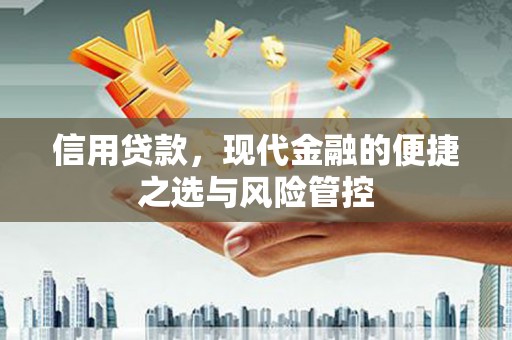 双清信用贷款，现代金融的便捷之选与风险管控