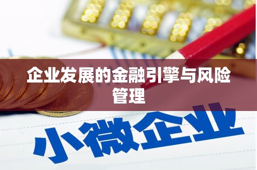 西丰企业发展的金融引擎与风险管理