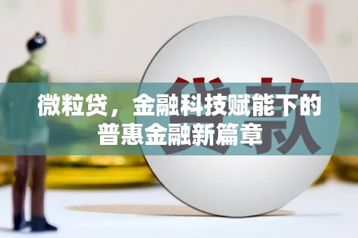 板桥微粒贷，金融科技赋能下的普惠金融新篇章