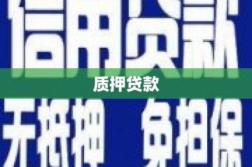 沙洋质押贷款