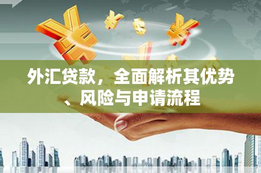 郊区外汇贷款，全面解析其优势、风险与申请流程