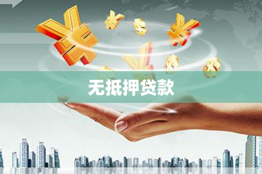 维西无抵押贷款