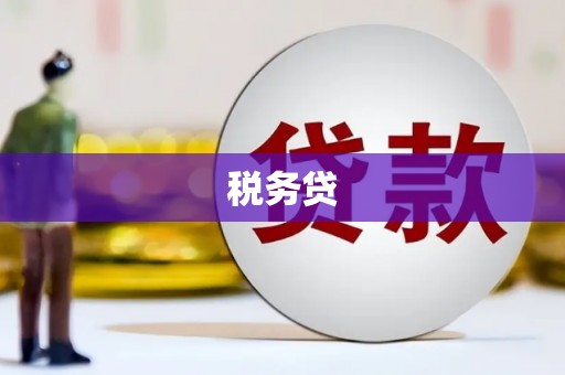 八德税务贷
