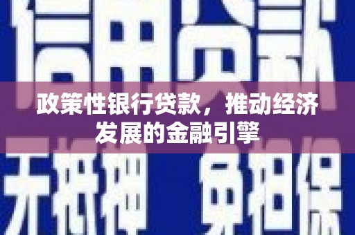 蒙阴政策性银行贷款，推动经济发展的金融引擎
