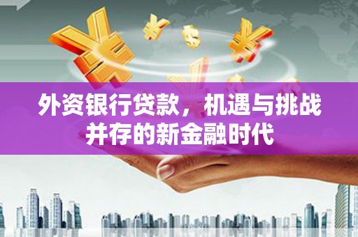 新泰外资银行贷款，机遇与挑战并存的新金融时代