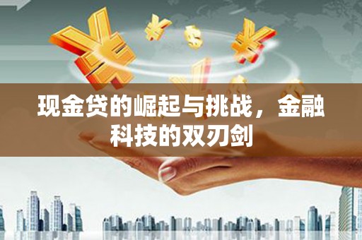 岱山现金贷的崛起与挑战，金融科技的双刃剑