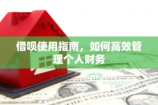 南乐借呗使用指南，如何高效管理个人财务