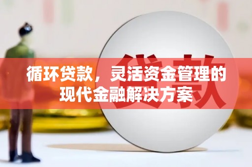 武鸣循环贷款，灵活资金管理的现代金融解决方案