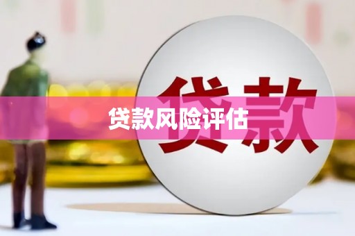 将军贷款风险评估