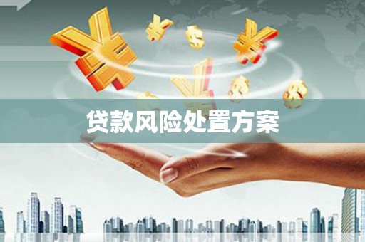 长兴贷款风险处置方案