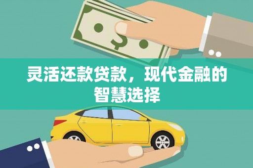 成县灵活还款贷款，现代金融的智慧选择