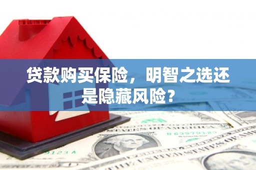 集贤贷款购买保险，明智之选还是隐藏风险？