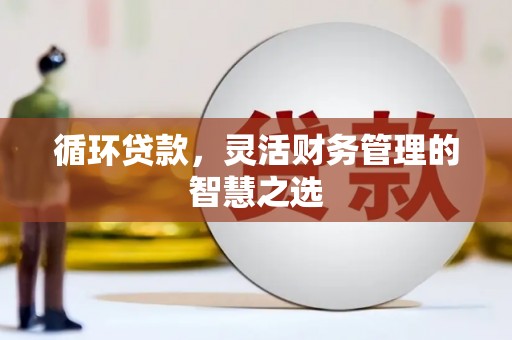 冬山循环贷款，灵活财务管理的智慧之选