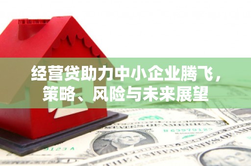 尉犁经营贷助力中小企业腾飞，策略、风险与未来展望
