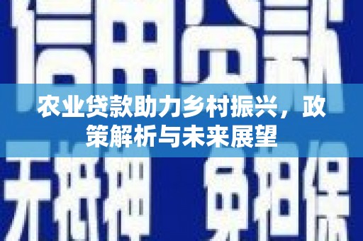 温州农业贷款助力乡村振兴，政策解析与未来展望