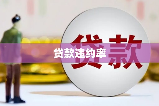 莎车贷款违约率