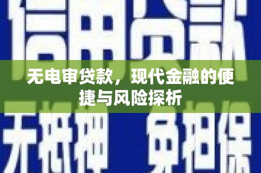 岳麓无电审贷款，现代金融的便捷与风险探析