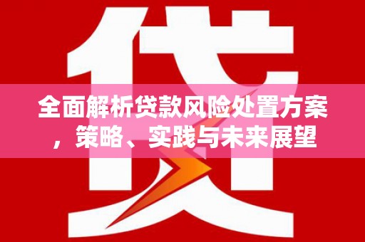 淮上全面解析贷款风险处置方案，策略、实践与未来展望