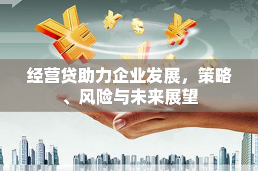 苓雅经营贷助力企业发展，策略、风险与未来展望