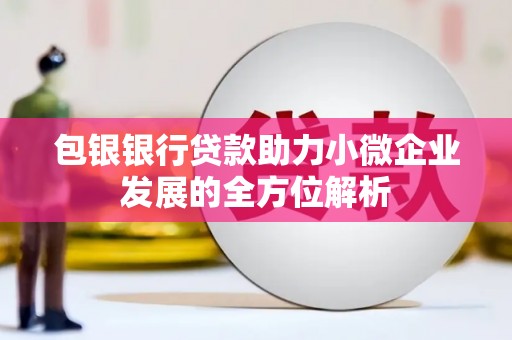 石城包银银行贷款助力小微企业发展的全方位解析 石城包银银行贷款助力小微企业发展的全方位解析