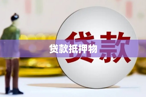 嘉禾贷款抵押物