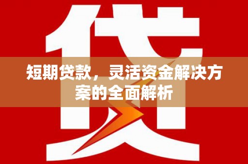 南丹短期贷款，灵活资金解决方案的全面解析