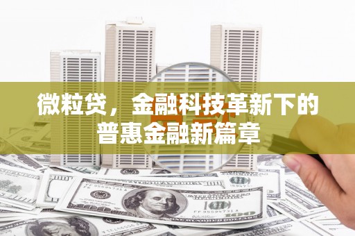 会同微粒贷，金融科技革新下的普惠金融新篇章