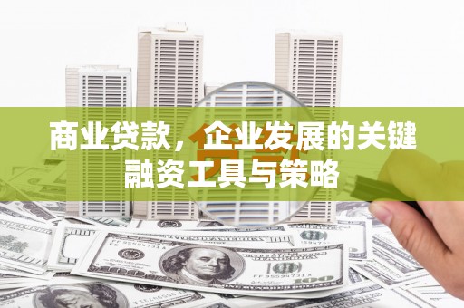 普湾新区商业贷款，企业发展的关键融资工具与策略