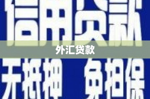 连平外汇贷款