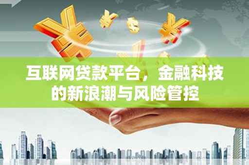中原互联网贷款平台，金融科技的新浪潮与风险管控