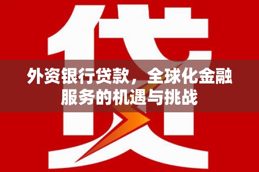 新蔡外资银行贷款，全球化金融服务的机遇与挑战