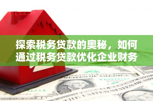 崆峒探索税务贷款的奥秘，如何通过税务贷款优化企业财务