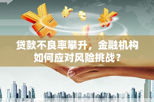 邵东贷款不良率攀升，金融机构如何应对风险挑战？