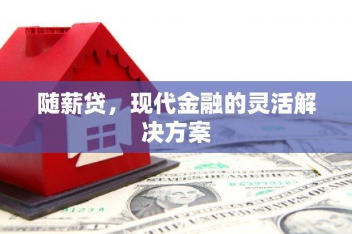 项城随薪贷，现代金融的灵活解决方案