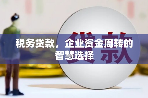 芒市税务贷款，企业资金周转的智慧选择