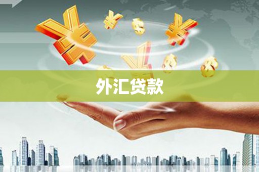 南靖外汇贷款