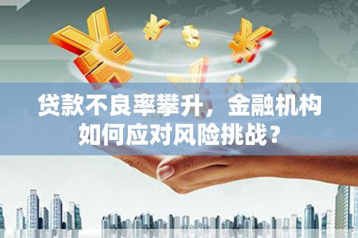 泗阳贷款不良率攀升，金融机构如何应对风险挑战？