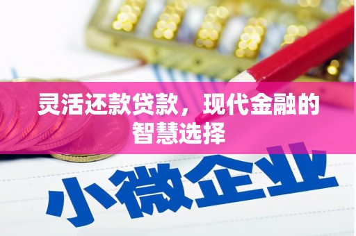 灌阳灵活还款贷款，现代金融的智慧选择