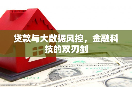 振兴贷款与大数据风控，金融科技的双刃剑