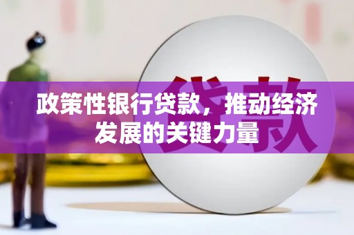 富裕政策性银行贷款，推动经济发展的关键力量