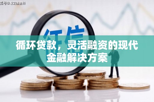 龙湾循环贷款，灵活融资的现代金融解决方案