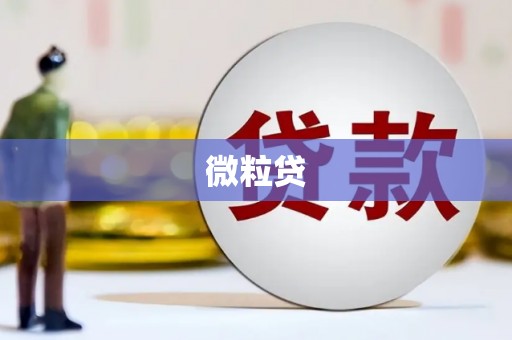 普定微粒贷