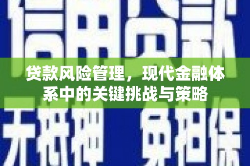 林芝贷款风险管理，现代金融体系中的关键挑战与策略