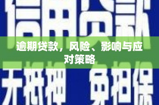 苏家屯逾期贷款，风险、影响与应对策略