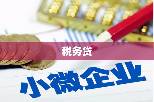安化税务贷