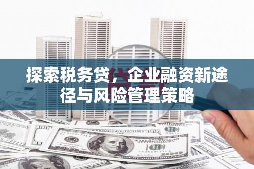 新晃探索税务贷，企业融资新途径与风险管理策略