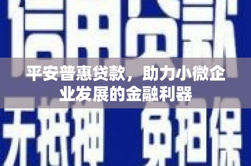 西吉平安普惠贷款，助力小微企业发展的金融利器
