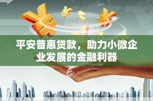 东营平安普惠贷款，助力小微企业发展的金融利器