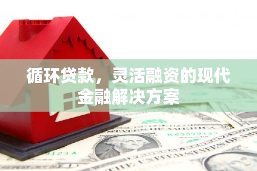 鼎城循环贷款，灵活融资的现代金融解决方案