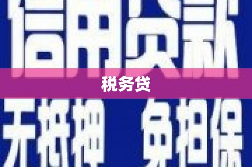 临沧税务贷